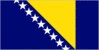 bosnian_flag.gif